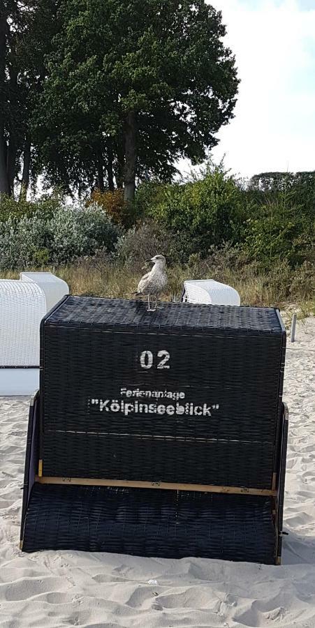 Hotel Karl'S Burg Kölpinsee المظهر الخارجي الصورة
